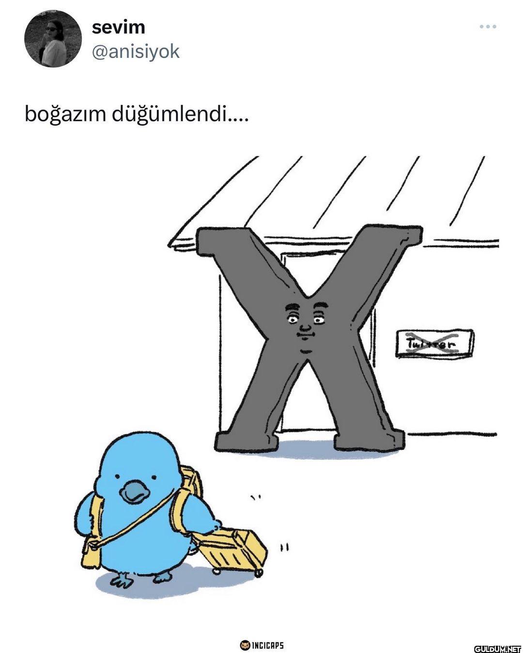 sevim @anisiyok boğazım...