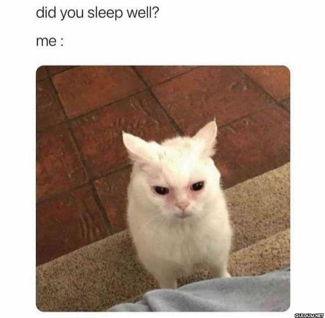 @iam.tired.ok   did you...