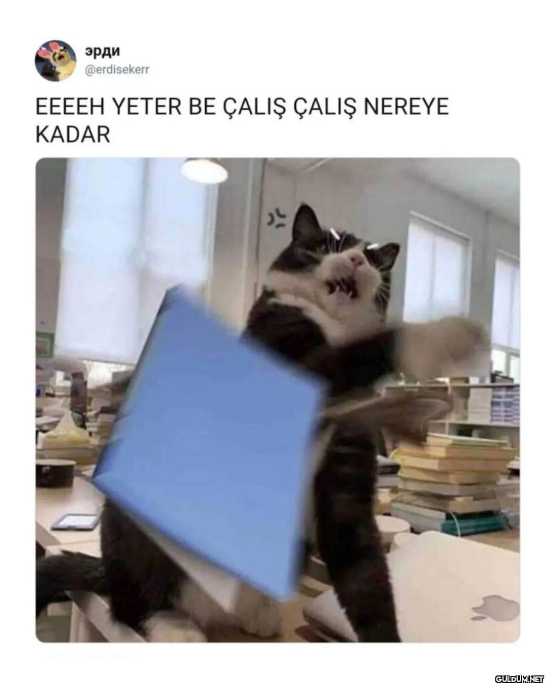эрди @erdisekerr EEEEH...