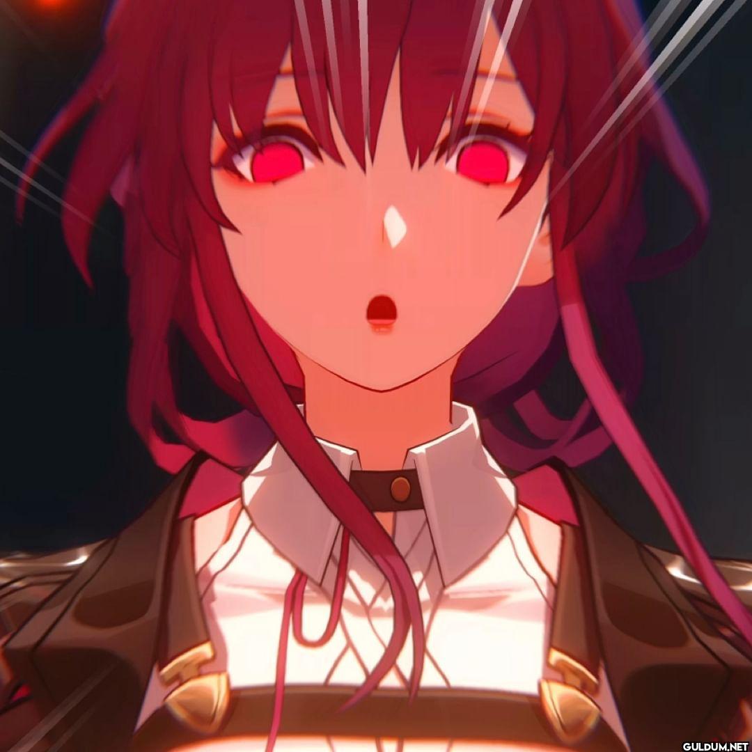 Honkai: Star Rail Meme...