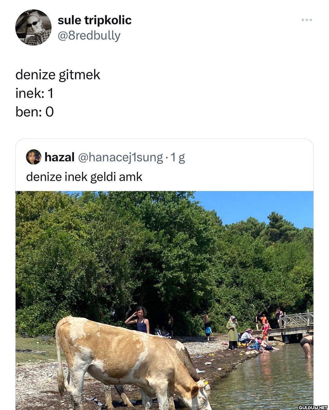tesim bibuk @orangecatjpg...