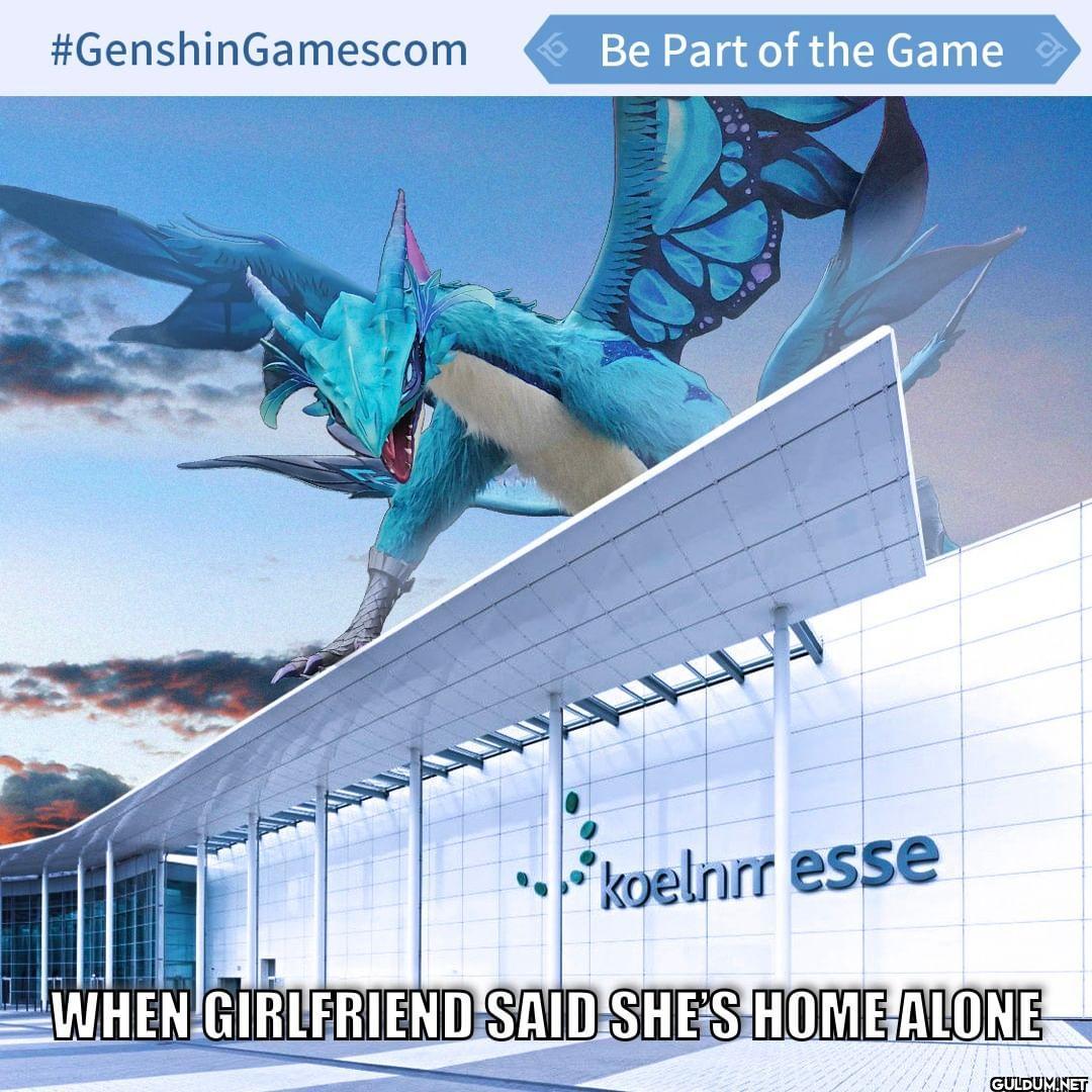 Genshin Impact X 9GAG Meme...