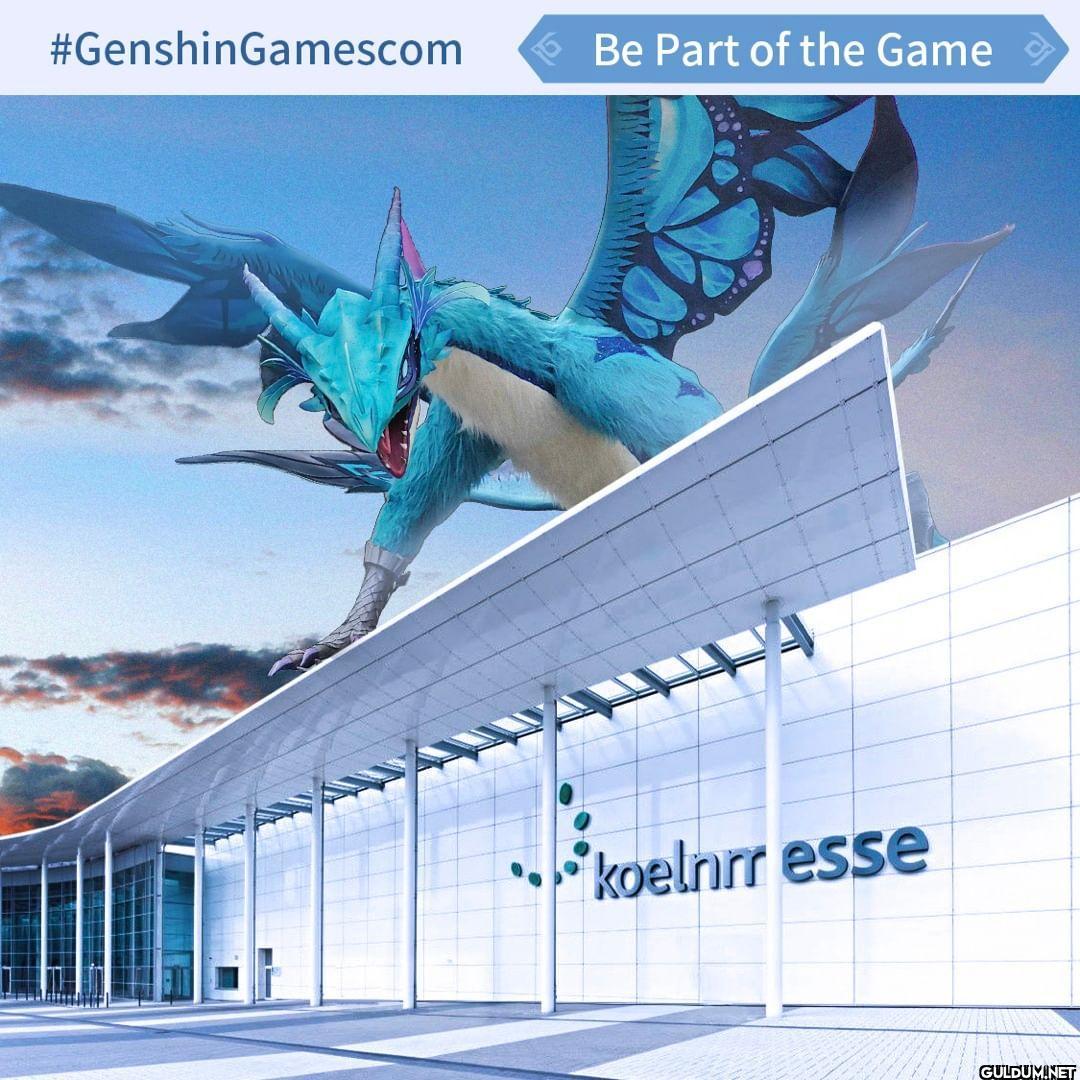 Genshin Impact X 9GAG Meme...