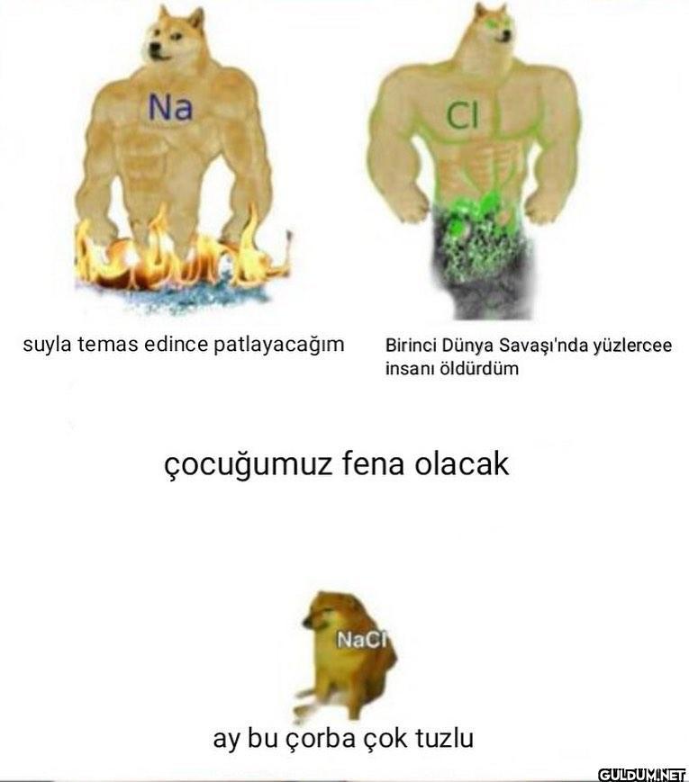 bilim memes   Na suyla...