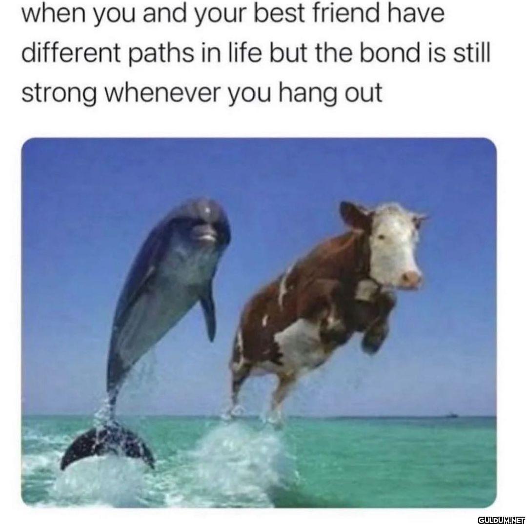 @someones.therapist   when...