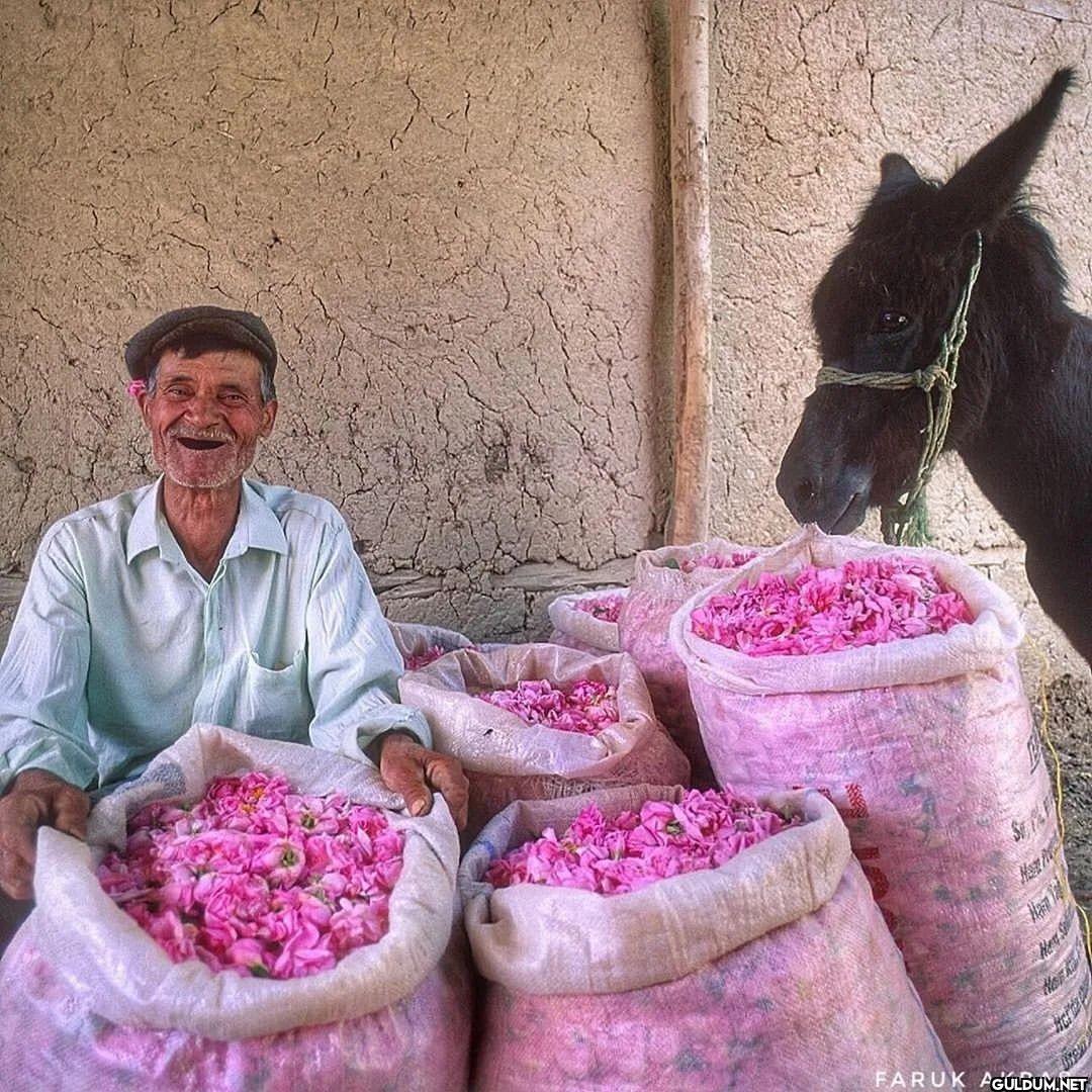 (Kaydırmalı) [📷...