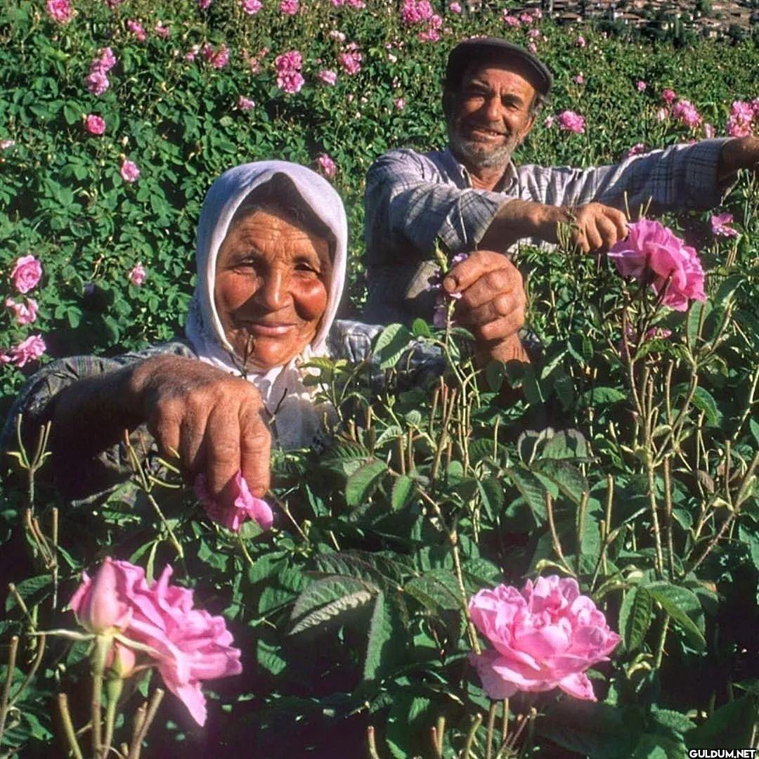 (Kaydırmalı) [📷...