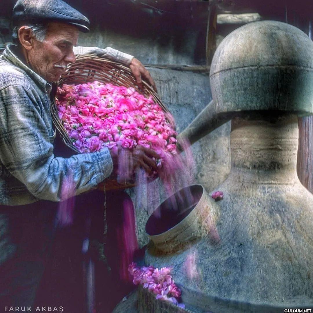 (Kaydırmalı) [📷...