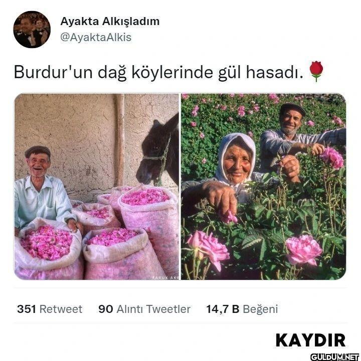 (Kaydırmalı) [📷...