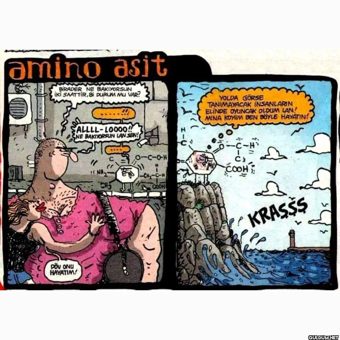 O sırada Aminoasit.....