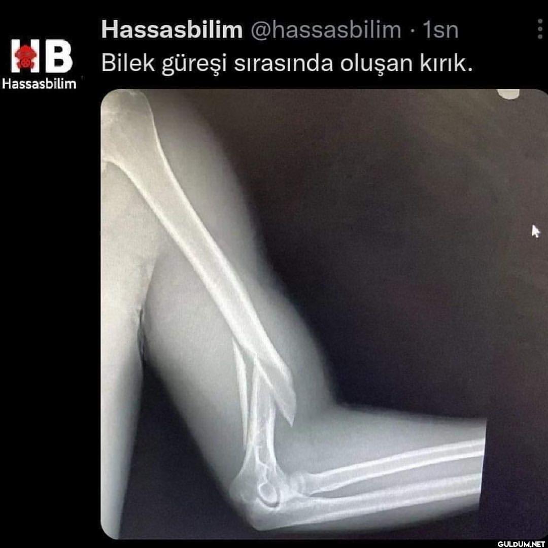 Sıradışı ve farklı...