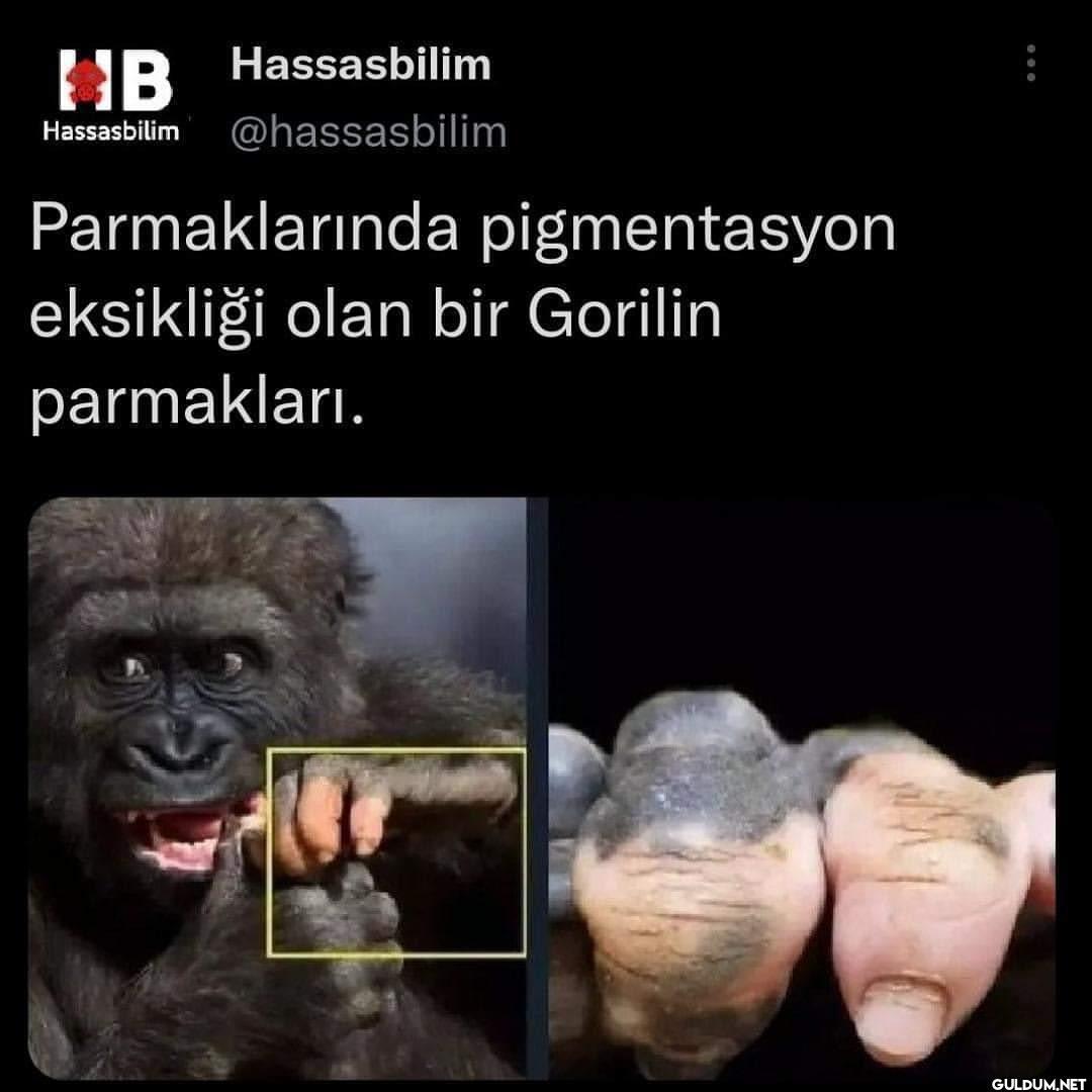 Sıradışı ve farklı...