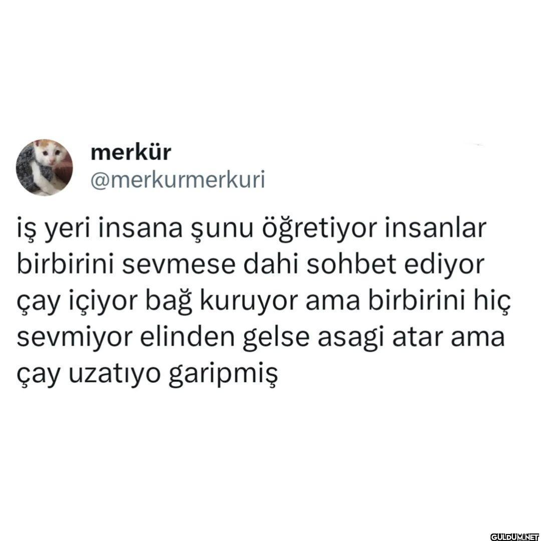 merkür @merkurmerkuri iş...