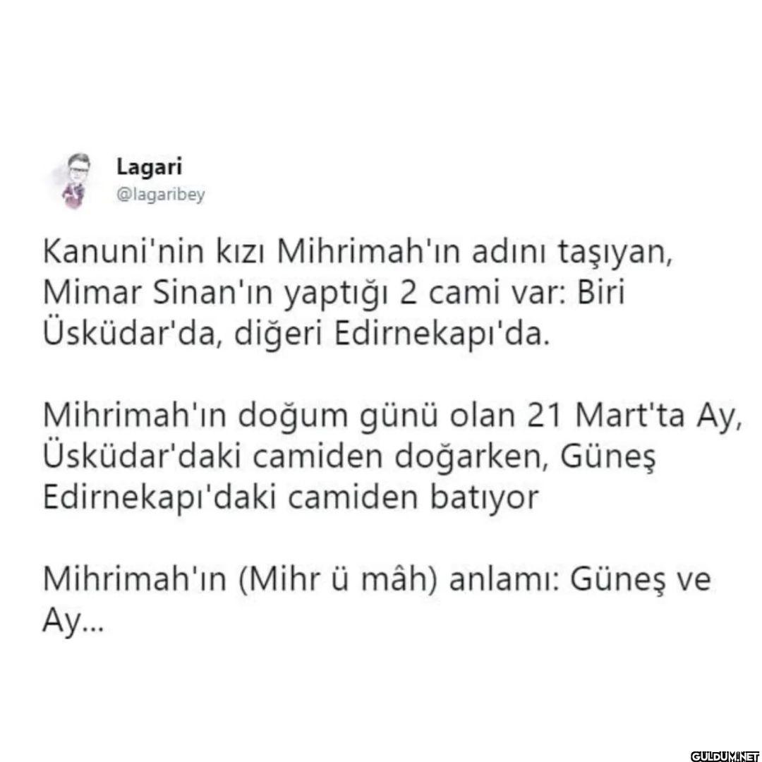 Lagari @lagaribey...