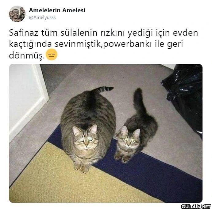 Amelelerin Amelesi...