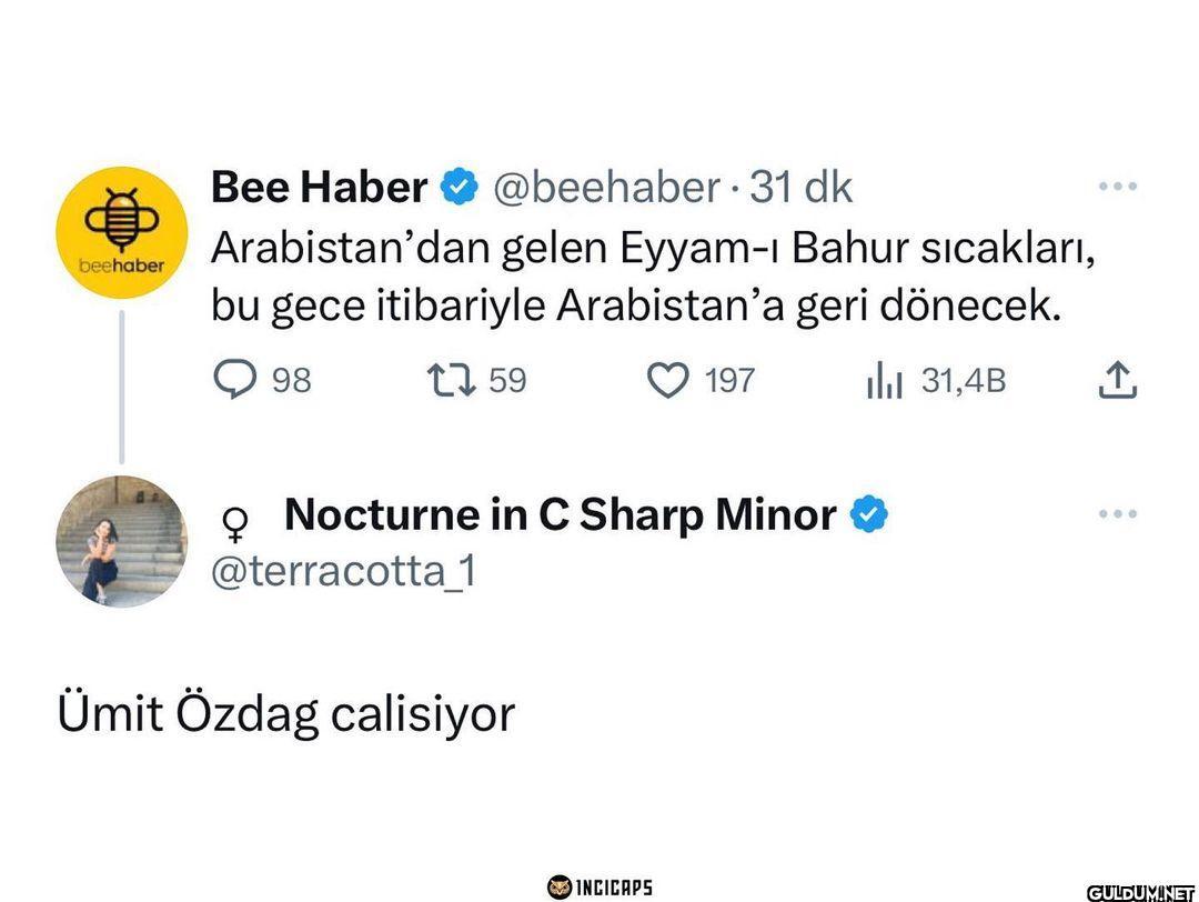 beehaber Bee Haber...