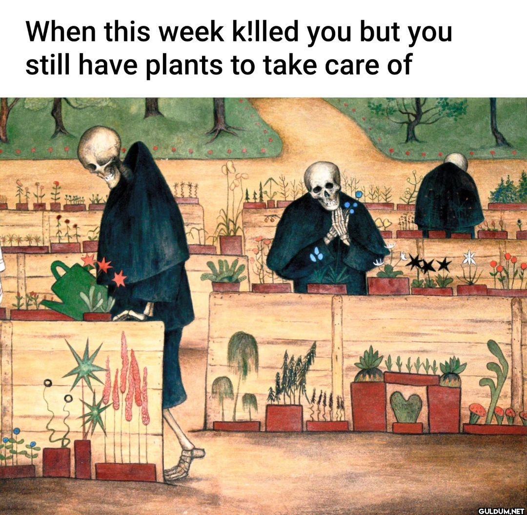 🌱 Tag them! ⤵️ . .  . . ....
