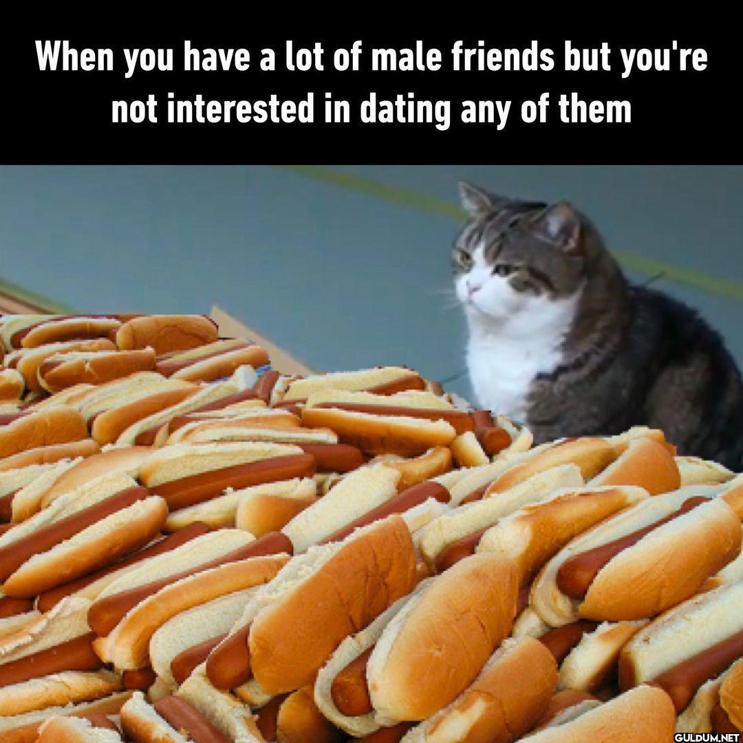 friendzone - #friends...