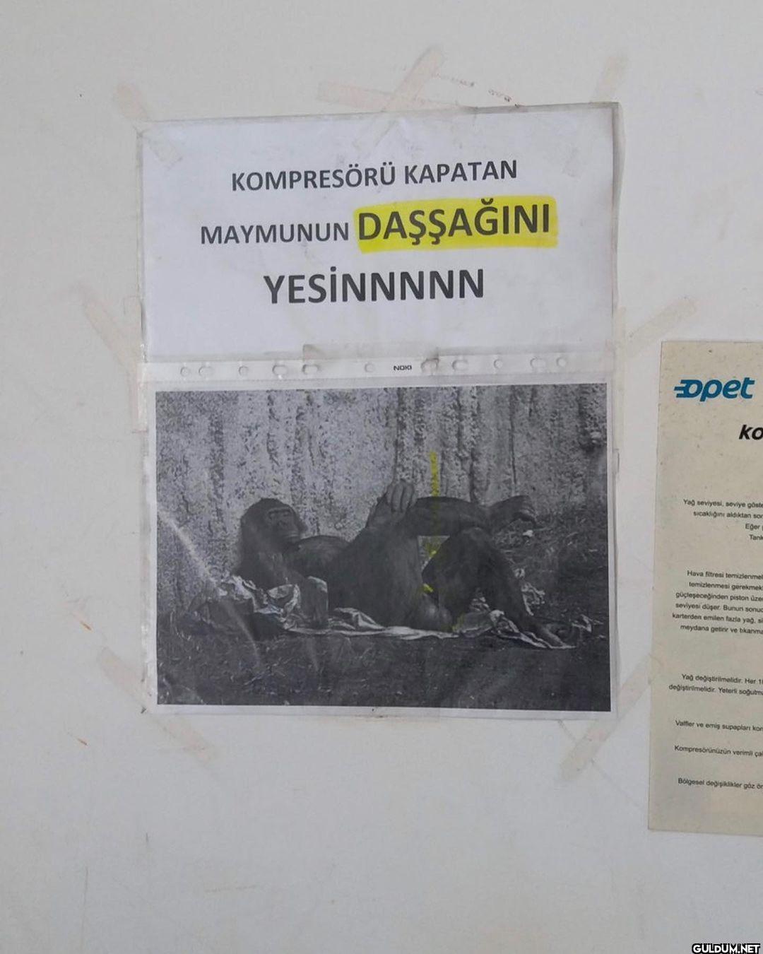 anlamsız fotoğraflar 43032...