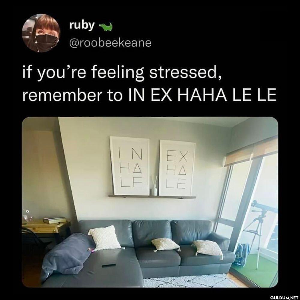 good advice by roobeekeane...