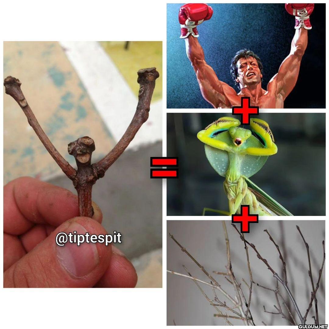 Rocky Balboa...