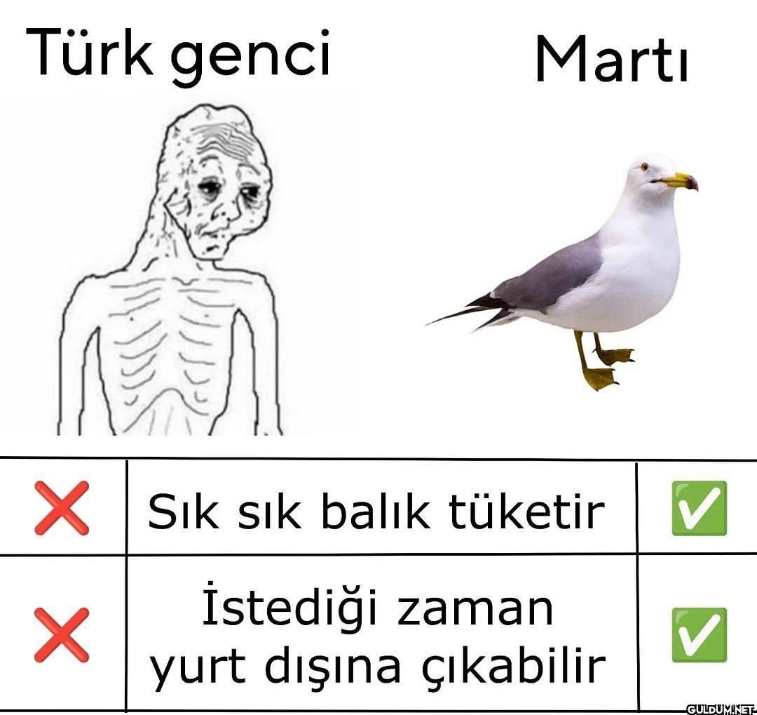 türko vs marti   Türk...