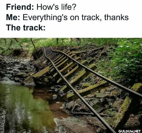 @itoldmy.therapist  ...