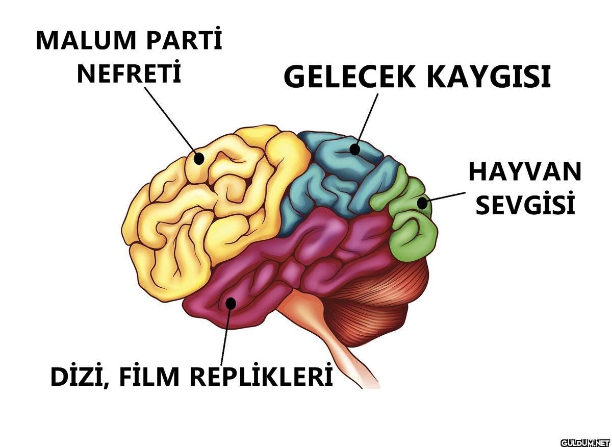 MALUM PARTİ NEFRETİ...