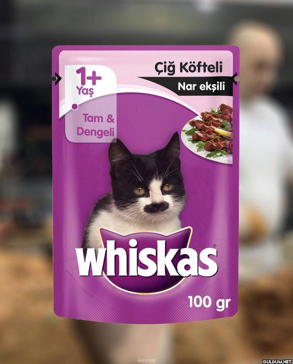 1+ Yaş Tam & Dengeli Çiğ...
