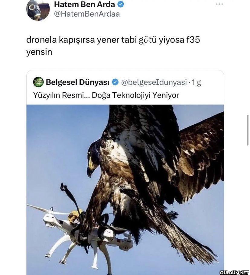 Hatem Ben Arda...