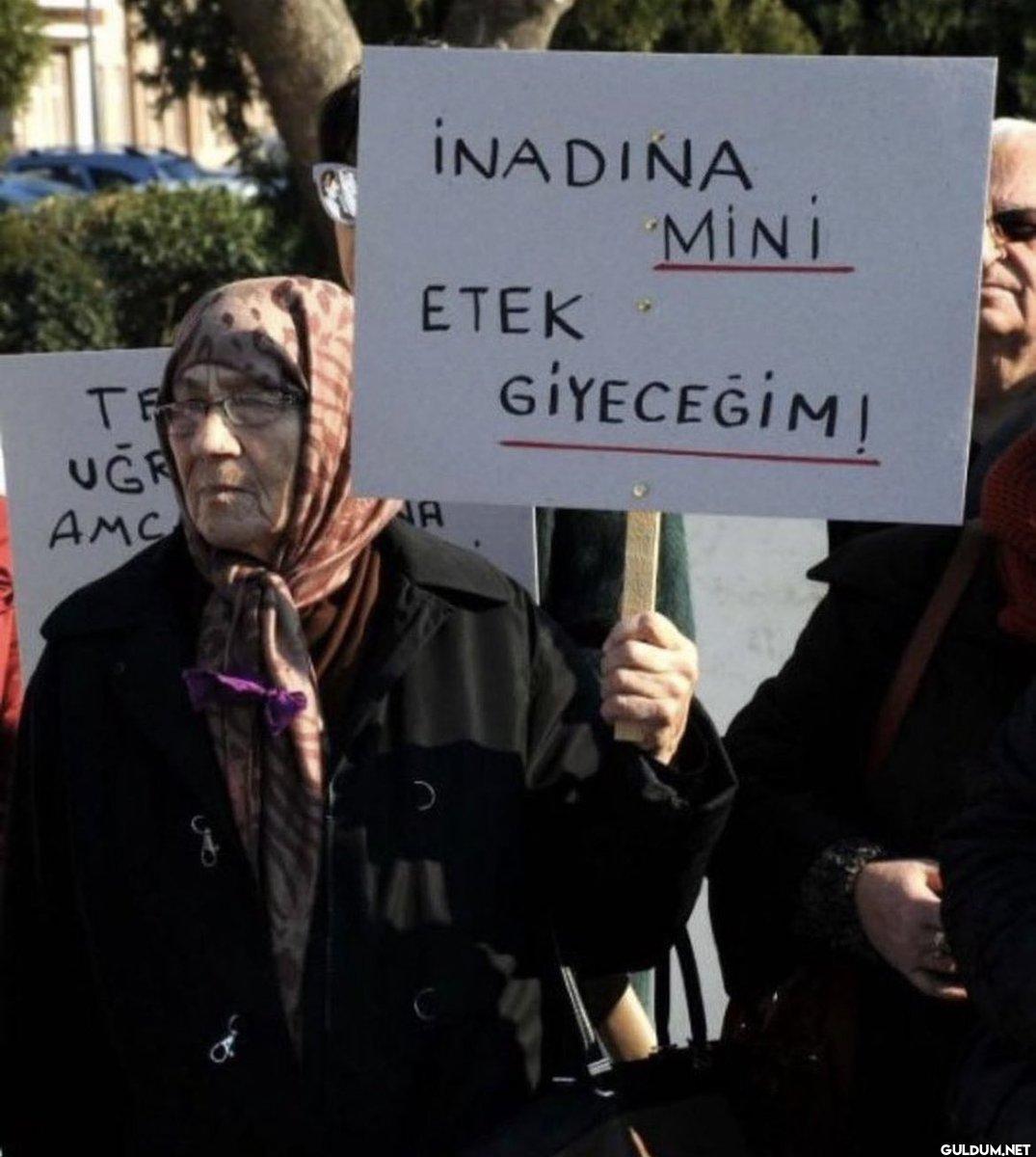 TEX UGR AMC INADINA ETEK...