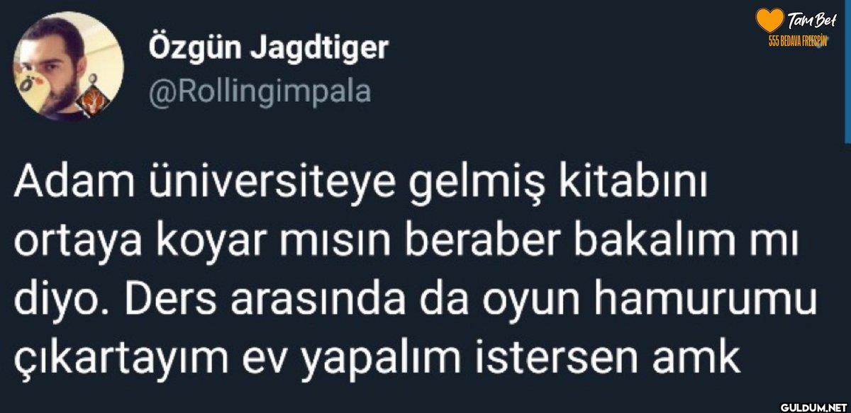 Özgün Jagdtiger...