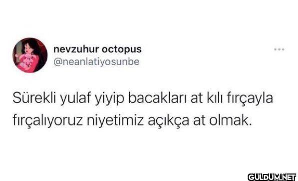 nevzuhur octopus...