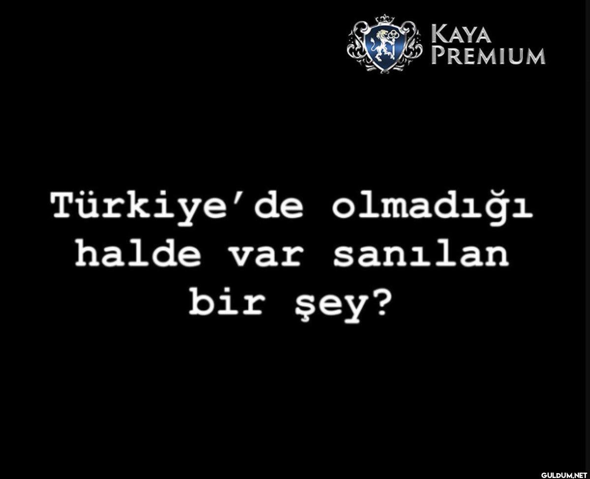 evet cevapları alalım    ...