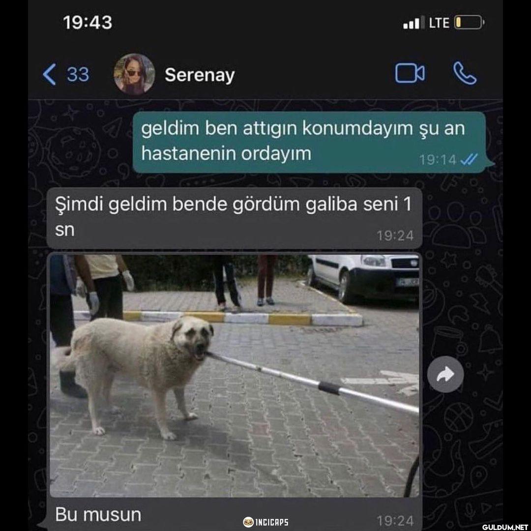 D 19:43 Kaynak