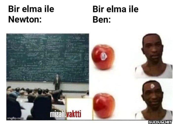 Bir elma ile Newton:...