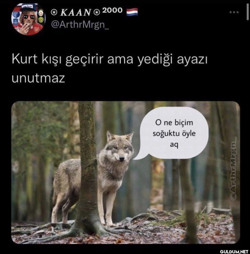 KAAN 2000 @ArthrMrgn_ Kurt...