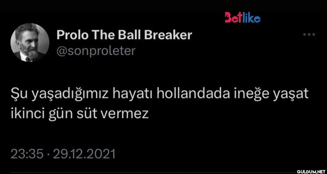 Prolo The Ball Breaker...