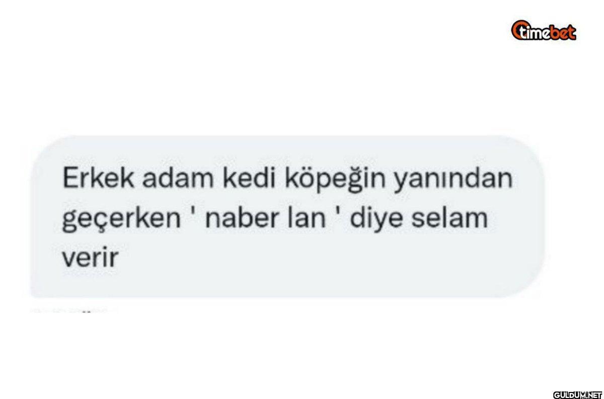 Erkek adam kedi köpeğin...