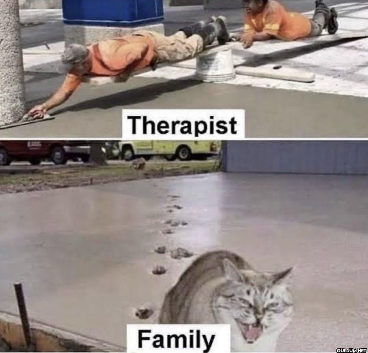 Therapist Family   Kaynak