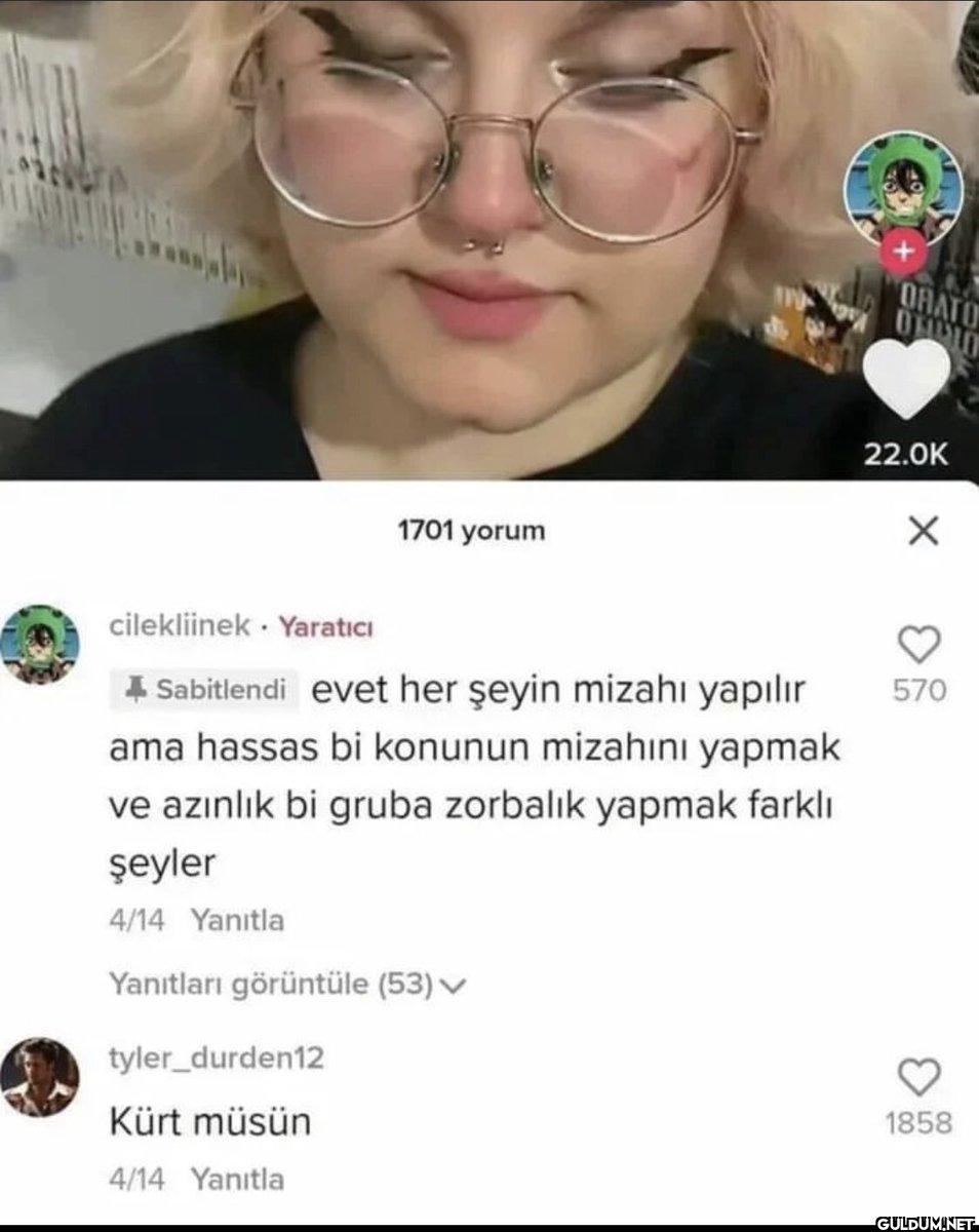 1701 yorum cilekliinek...