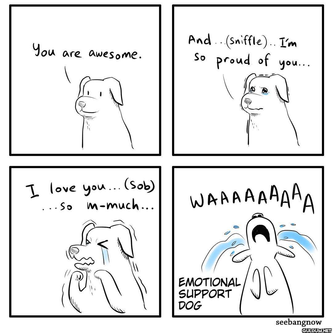 (Very) Emotional support...