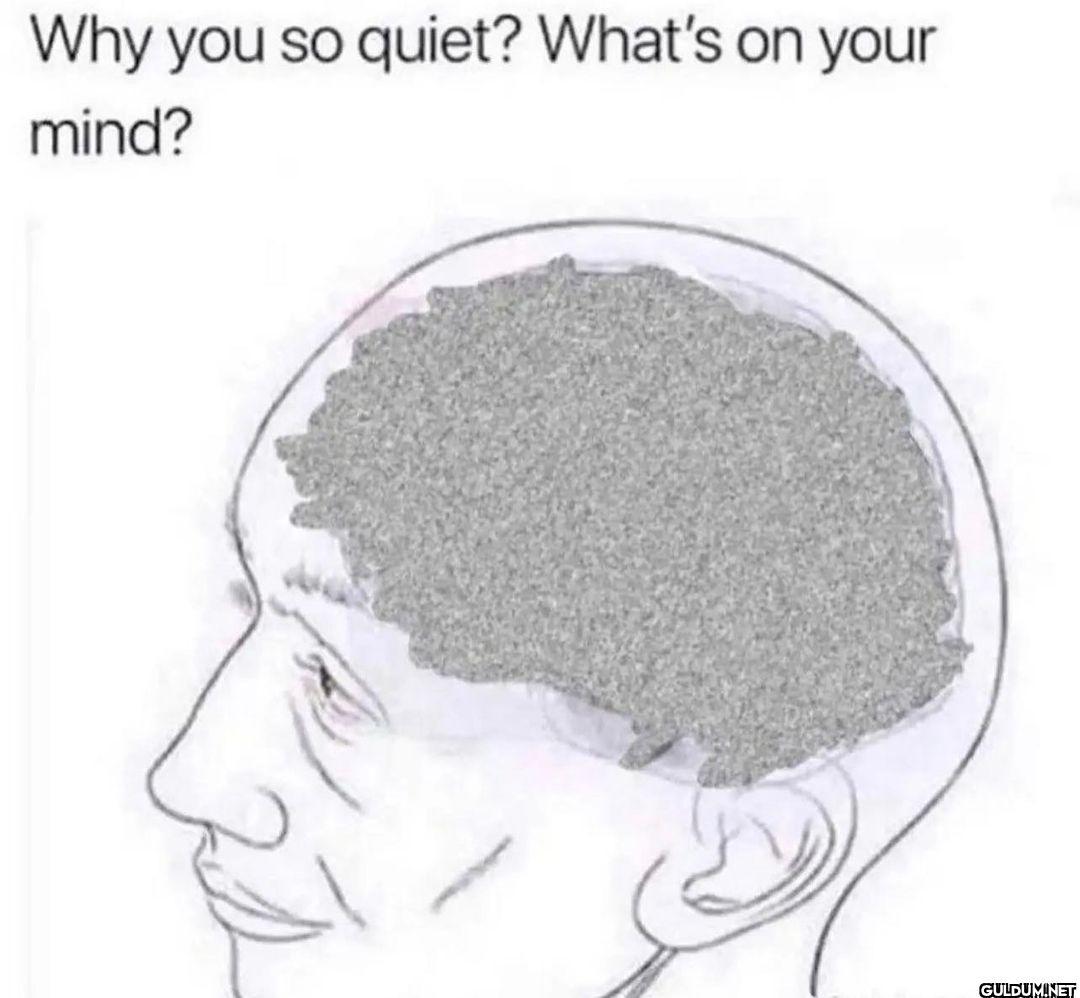 @philosophy.shirts   Why...