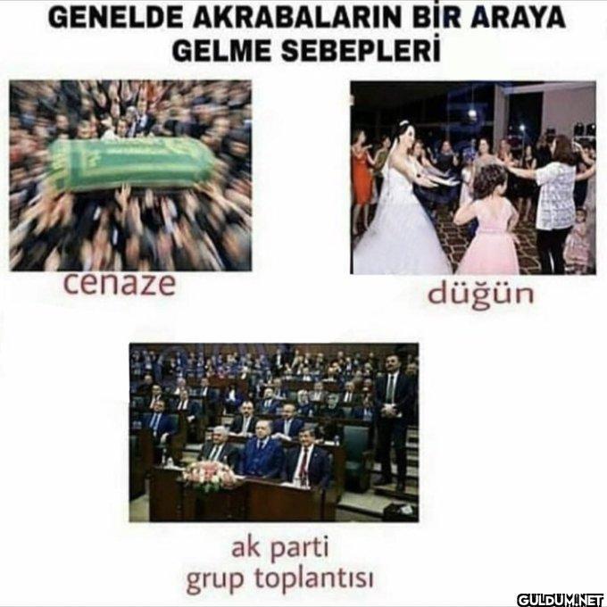 GENELDE AKRABALARIN BİR...