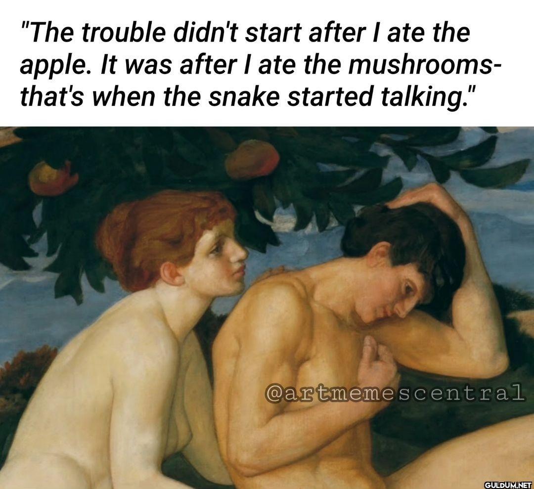 🐍 🤔 Thoughts on this? ⤵️ -...