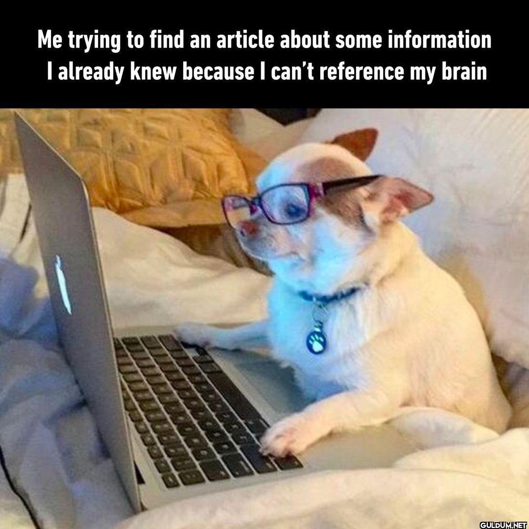 Source: trust me bro  -...
