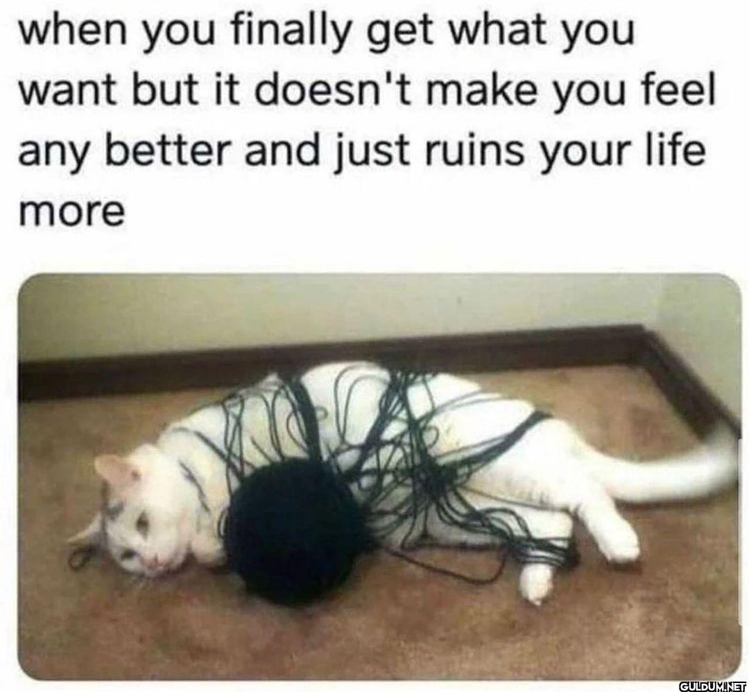 @therapyshirts   when you...