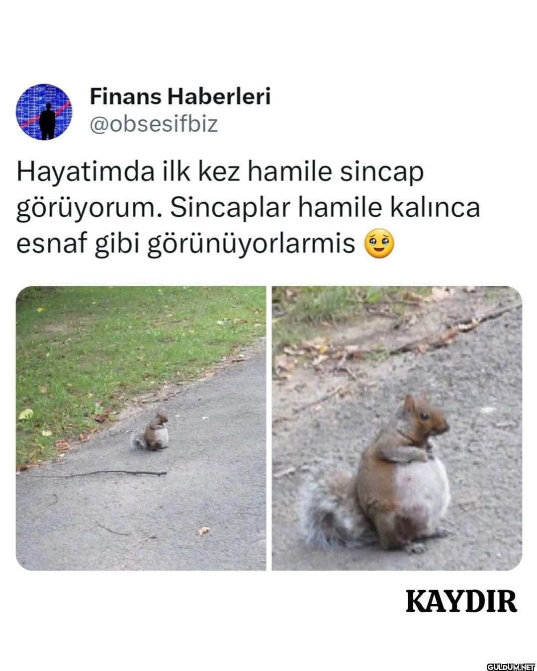 Finans Haberleri...