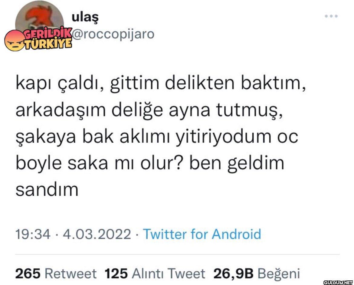 ulaş CERILDIK@roccopijaro...