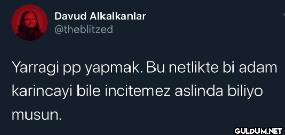Davud Alkalkanlar...